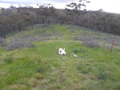 Molly's Chase - Accommodation Kalgoorlie 22