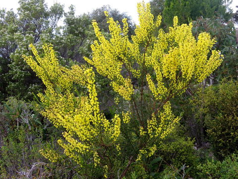 Kestrel Downs - Accommodation Kalgoorlie 26