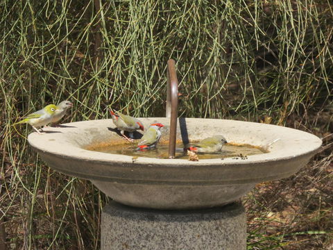 Kestrel Downs - Accommodation Kalgoorlie 24