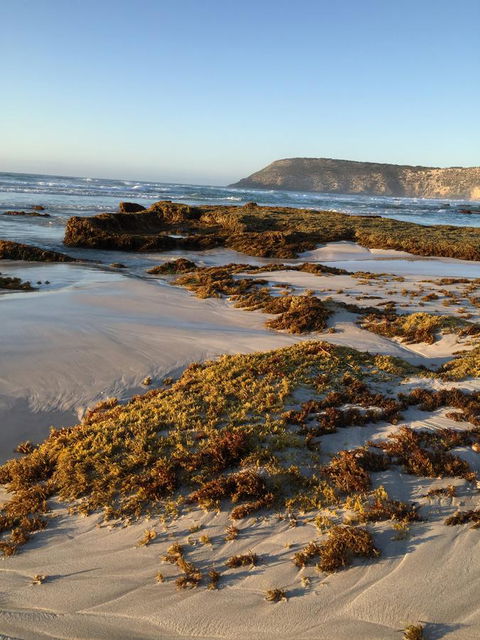 Kestrel Downs - Accommodation Kalgoorlie 34