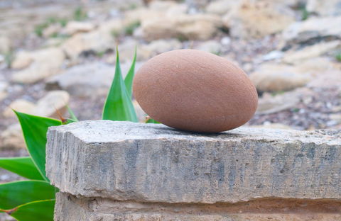 Kestrel Downs - Accommodation Kalgoorlie 30