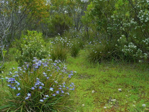 Kestrel Downs - Accommodation Kalgoorlie 32