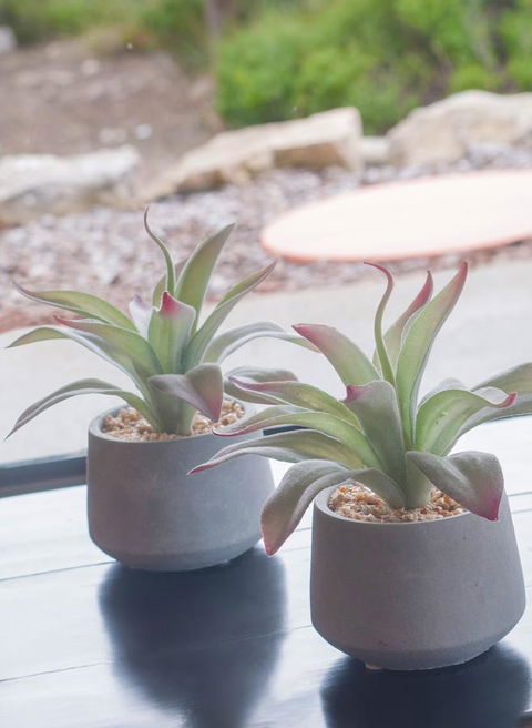 Kestrel Downs - Accommodation Kalgoorlie 13