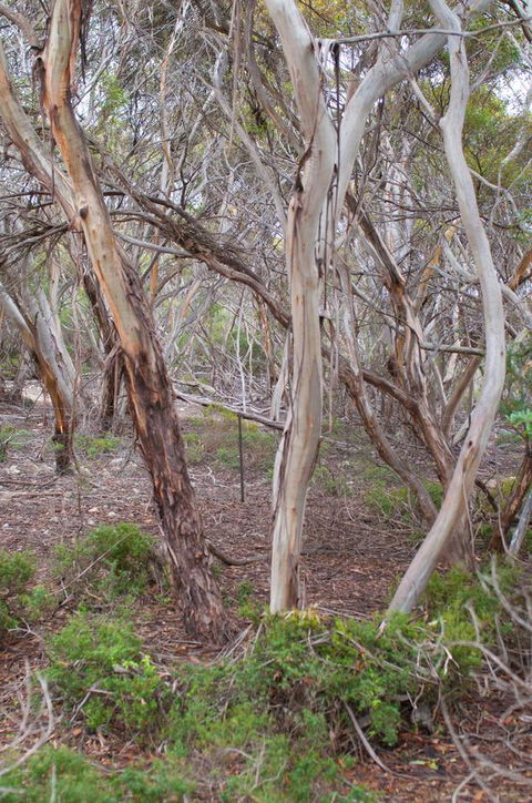 Kestrel Downs - Accommodation Kalgoorlie 19