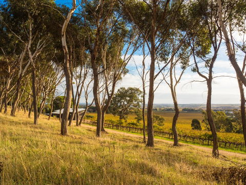 Shadow Creek McLaren Vale - Accommodation Kalgoorlie 5