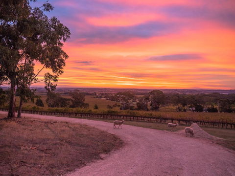 Shadow Creek McLaren Vale - Accommodation Kalgoorlie 24