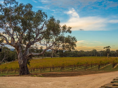 Shadow Creek McLaren Vale - Accommodation Kalgoorlie 23