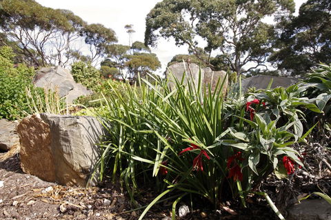 Cape Jervis Holiday Units - Accommodation Kalgoorlie 6