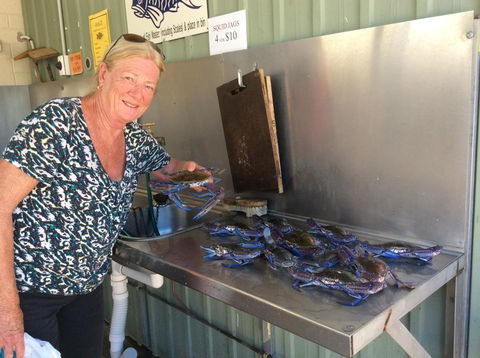 Ceduna Foreshore Caravan Park - Accommodation Kalgoorlie 28