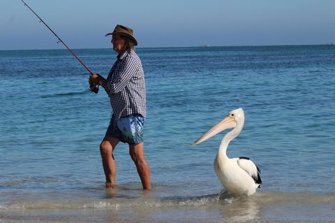 Ceduna Foreshore Caravan Park - Accommodation Kalgoorlie 21