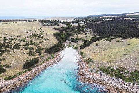 Sea Dragon Kangaroo Island - Accommodation Kalgoorlie 0