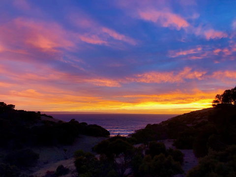 Sea Dragon Kangaroo Island - Accommodation Kalgoorlie 14