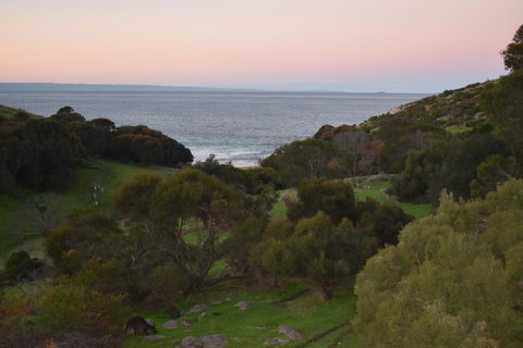 Sea Dragon Kangaroo Island - Accommodation Kalgoorlie 30