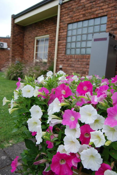 Arkana Motor Inn & Terrace Apartments - Accommodation Kalgoorlie 40