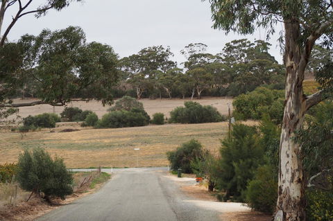 32 West B&B - Accommodation Kalgoorlie 4