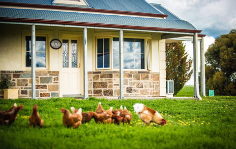 Barossa Vineyard Cottages - Accommodation Kalgoorlie 40