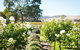 Barossa Vineyard Cottages - thumb 1