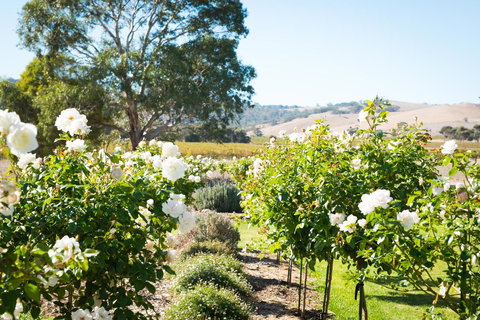 Barossa Vineyard Cottages - Accommodation Kalgoorlie 1