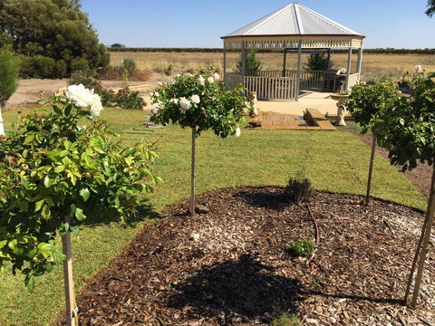 Barossa Vineyard Cottages - Accommodation Kalgoorlie 43