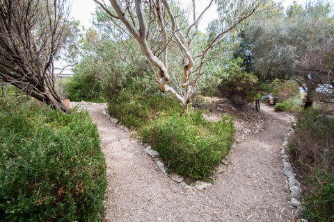 Coorong Waterfront Retreat - Accommodation Kalgoorlie 19