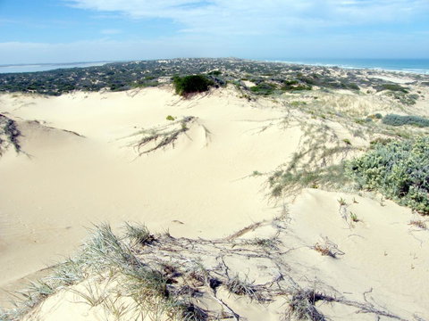 Coorong Waterfront Retreat - Accommodation Kalgoorlie 32