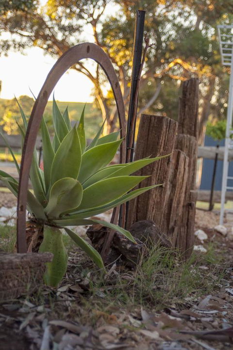 Seppelts View Cabins - Accommodation Kalgoorlie 37