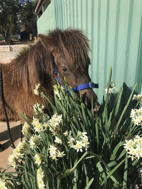 Seppelts View Cabins - Accommodation Kalgoorlie 14