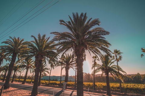 Seppelts View Cabins - Accommodation Kalgoorlie 18