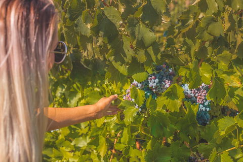 Seppelts View Cabins - Accommodation Kalgoorlie 26