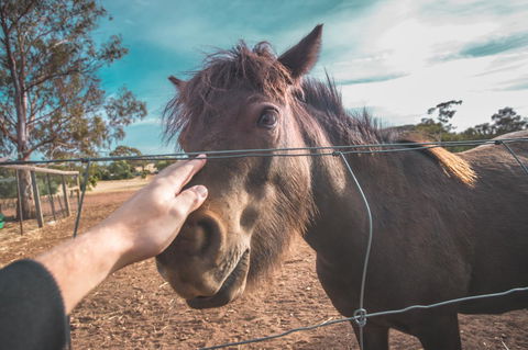 Seppelts View Cabins - Accommodation Kalgoorlie 28