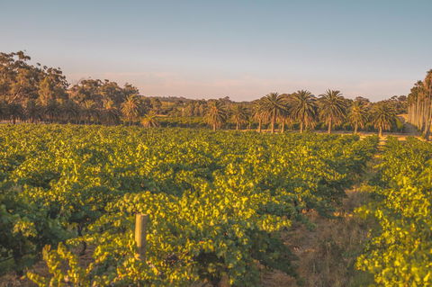 Seppelts View Cabins - Accommodation Kalgoorlie 8