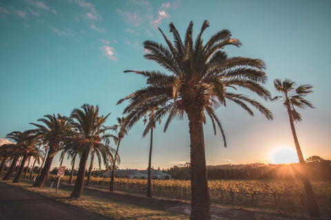 Seppelts View Cabins - Accommodation Kalgoorlie 2