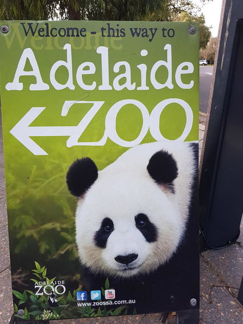 Adelaide Style Accommodation-Close To City-North Adelaide-3 Bdrm- FREE Parking - Accommodation Kalgoorlie 35