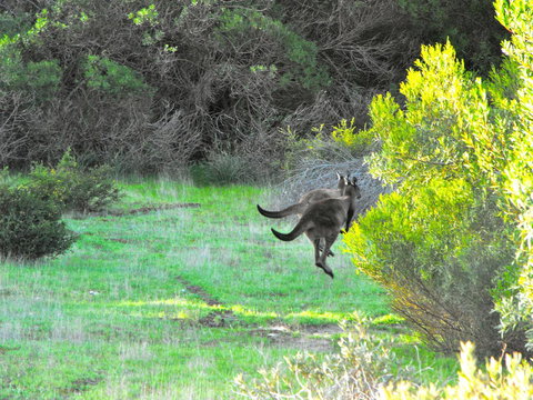 A Dune Escape - Accommodation Kalgoorlie 25