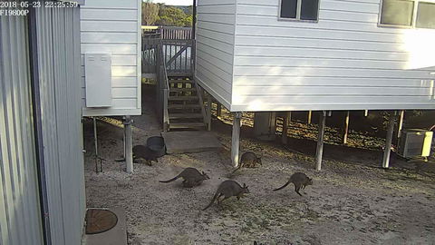 White Sands Holiday Retreat - Accommodation Kalgoorlie 13