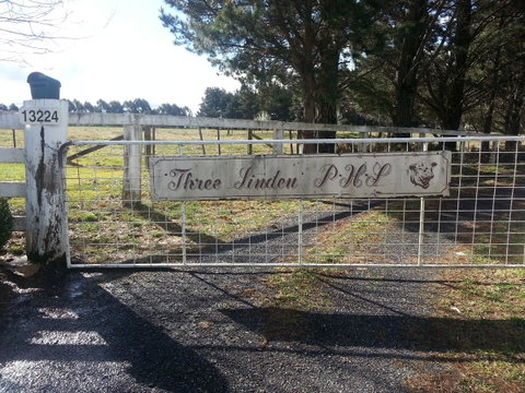 Three Linden - Accommodation Kalgoorlie 6