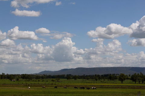 Isis Motel Scone - Accommodation Kalgoorlie 5