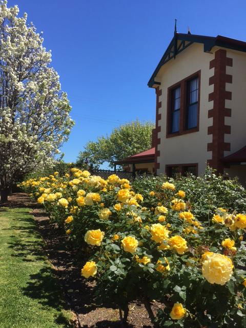 Wine And Roses Bed And Breakfast - Accommodation Kalgoorlie 5