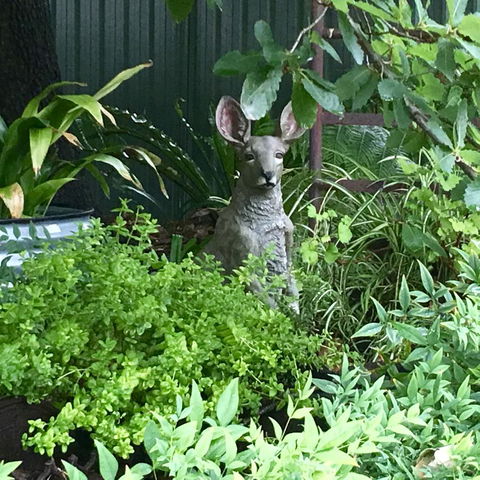 Hahndorf Oak Tree Cottages - Accommodation Kalgoorlie 12