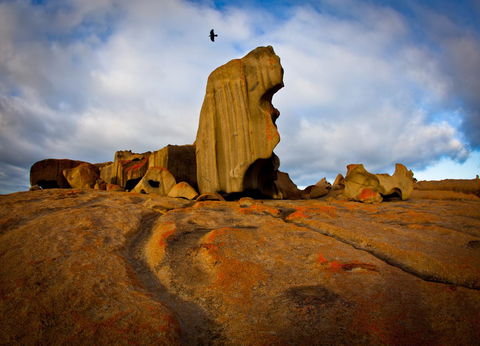 Penneshaw Oceanview Apartments - Accommodation Kalgoorlie 23