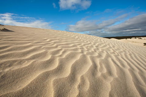 Penneshaw Oceanview Apartments - Accommodation Kalgoorlie 24