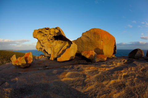 Penneshaw Oceanview Apartments - Accommodation Kalgoorlie 21