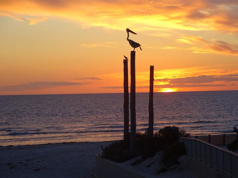 Selene Holiday Apartment @West Beach - Accommodation Kalgoorlie 2