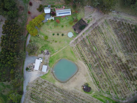 STUDIO ECHUNGA Adelaide Hills - Accommodation Kalgoorlie 22