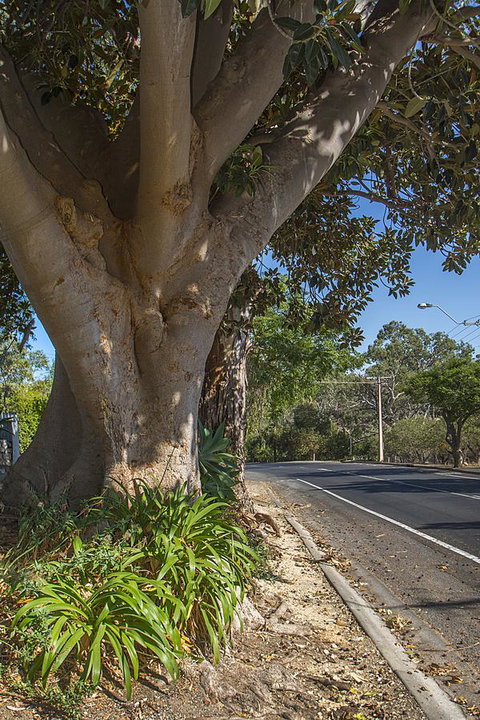 Stoneleigh Cottage Bed And Breakfast - Accommodation Kalgoorlie 25