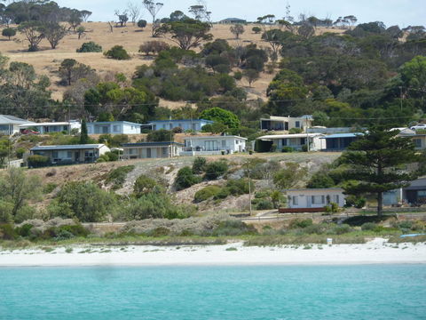 SeaShells Penneshaw - Accommodation Kalgoorlie 27
