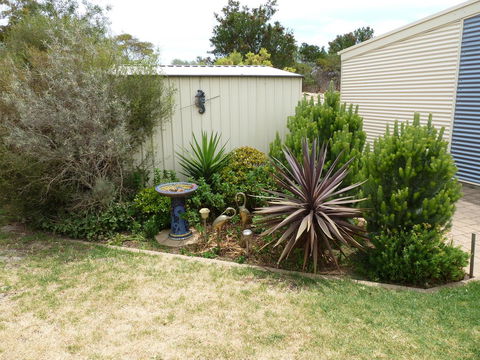 SeaShells Penneshaw - Accommodation Kalgoorlie 37