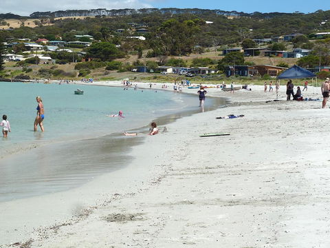 SeaShells Penneshaw - Accommodation Kalgoorlie 13