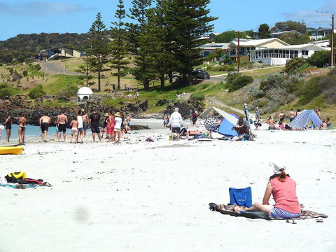 SeaShells Penneshaw - Accommodation Kalgoorlie 8