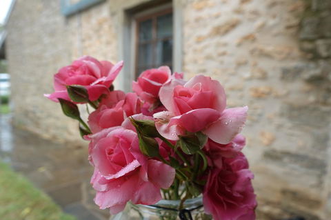 Amy\'s House Bed & Breakfast - Accommodation Kalgoorlie 30